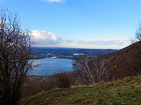 Si esce dal bosco attorno Q880  IMG 5576