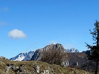 Corno occidentale  IMG 5598