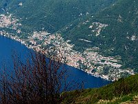 Moltrasio  IMG 5825