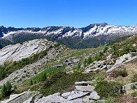 Alpe Ribia vista dal sentiero per l'Uomo Tondo  IMG 2009