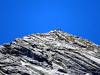 Eccoli con lo zoom  IMG 2016