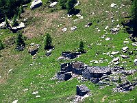 Alcuni in cattivo stato, penso sia l'Alpe del Boscaccio  IMG 2019