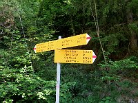 Indicazioni per Alpe Ribia e molto altro  IMG 5921