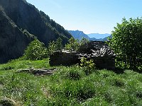 Per sbucare all'Alpe del Pianaccio 1585mt (ruderi)  IMG 5937