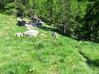 Pochi ruderi, da qui la vegetazione è solo larici  IMG 5938