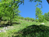 Ma solo belli ripidi  IMG 5941