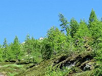 Con lo zoom si vede la capanna in alto  IMG 5943