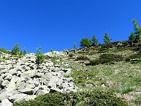 Ultime fatiche  IMG 5944