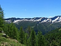 Verso il costone, in direzione della testata della Val Vergeletto  IMG 5979