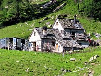 Zoom sull'alpeggio  IMG 2059