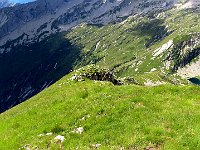 Dorsale in un tratto tranquillo  IMG 2095