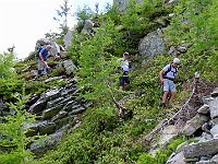 Anche qui non banale  IMG 2113