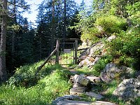 Cancelletto poco prima dei grandi prati dell'Alpe Sfii  IMG 6073