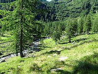 Scendendo verso il ponticello sul Riale di Sfii  IMG 6081