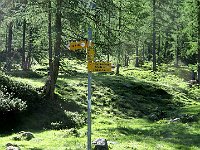 Subito un bivio, a destra per il Passo della Cavegna, a sinistra il Lago Sfii, la nostra via di ritorno  IMG 6083