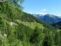 Iniziamo la salita verso il Passo della Cavegna  IMG 6086