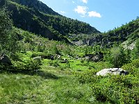 A Q1800 circa un pianoro erboso  IMG 6090