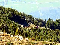 Discesa verso Peurett  IMG 2372