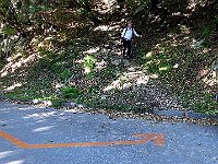 Alla partenza, il sentiero da Cenz/Censo dove passa il trail per il Claro  IMG 2387