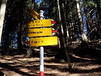 In pochi minuti arriviamo ad un altro bivio, per l'andata prendiamo la via diretta (verso destra), al ritorno scenderemo da sinistra (Cort di Settel)  IMG 2557