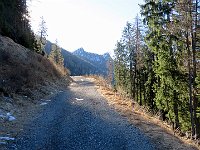 Proseguiamo e risaliamo fino alla strada, che percorriamo per pochi metri (vedi la frecci in basso a sinistra)  IMG 6911