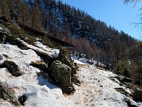 Per la discesa percorriamo il sentiero sul lato opposto al rifugio  IMG 6926