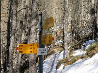 Arriviamo a Cort de Settel, qui inizia la discesa verso Braggio  IMG 6928