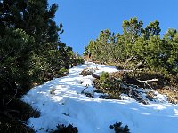 La salita alla Cima Mosè è più complicata per il pino mugo che la ricopre, bisogna aggirarla dal lato opposto per trovare un passaggio pulito  IMG 7042