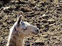 E su questa foto vi salutiamo, alla prossima  IMG 7104