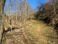 Sentiero verso Monte Basso  IMG 7116