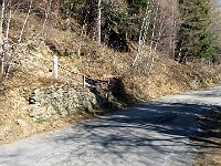 Qui si attaversa la strada  IMG 7119