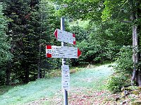 L' inizio della salita  IMG 7781