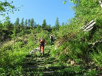 Sentiero, davanti a me Giordano e oltre Paolo  IMG 7784