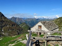 Alpe di Scaredi  IMG 7819