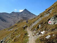 Sentiero verso la capanna  IMG 8827