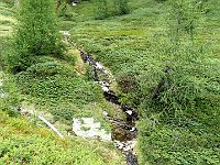 Ruscelli al ritorno  IMG 8988