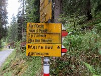 Da qui su sentiero diverso dal mattino torniamo al lago d'Isola  IMG 8993
