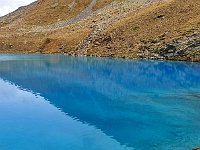 Che colori  20220907 120445