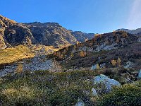 In alto a destra c'è l'unico omettone  20221019 145925