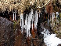 Ghiaccioli  IMG 1325