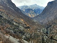 Il sentiero che prosegue, si vede già Codera  20230330 093344