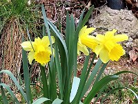 E su questa foto vi salutiamo, alla prossima  IMG 3263