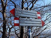 Siamo a Q1330 su Sentiero delle creste  IMG 1792