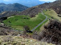 Quasi arrivati, che verde !  IMG 1862