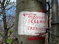 Dopo pranzo torniamo alla chiesetta, attraversiamo la strada per scendere a Parlasco con un anello  IMG 1866