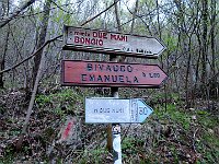 Seguiamo il sentiero 30  IMG 1879