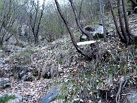 Indicazioni  IMG 1880