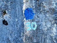 Ben indicato  IMG 1889