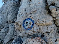 Ma sempre ben giudati  IMG 1918