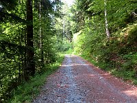 Proseguiamo sulla sterrata, nella foto si vede il bivio con il sentiero da seguire a destra  IMG 2462